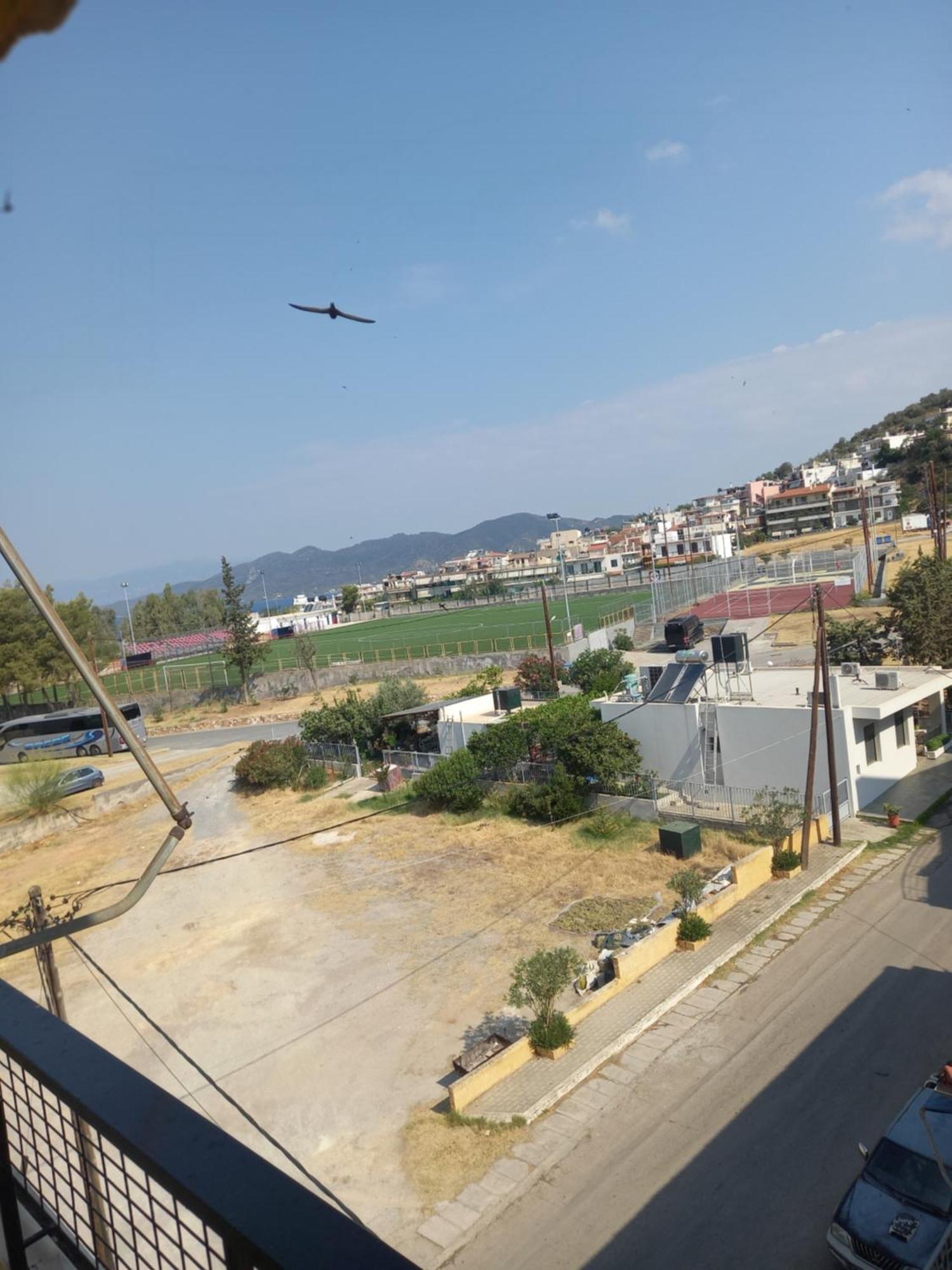 Hotel Tainaro Loutra Edipsou  Buitenkant foto